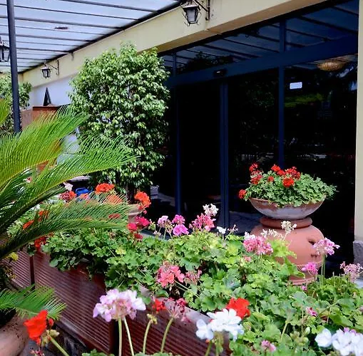 Clinton קאסוריה